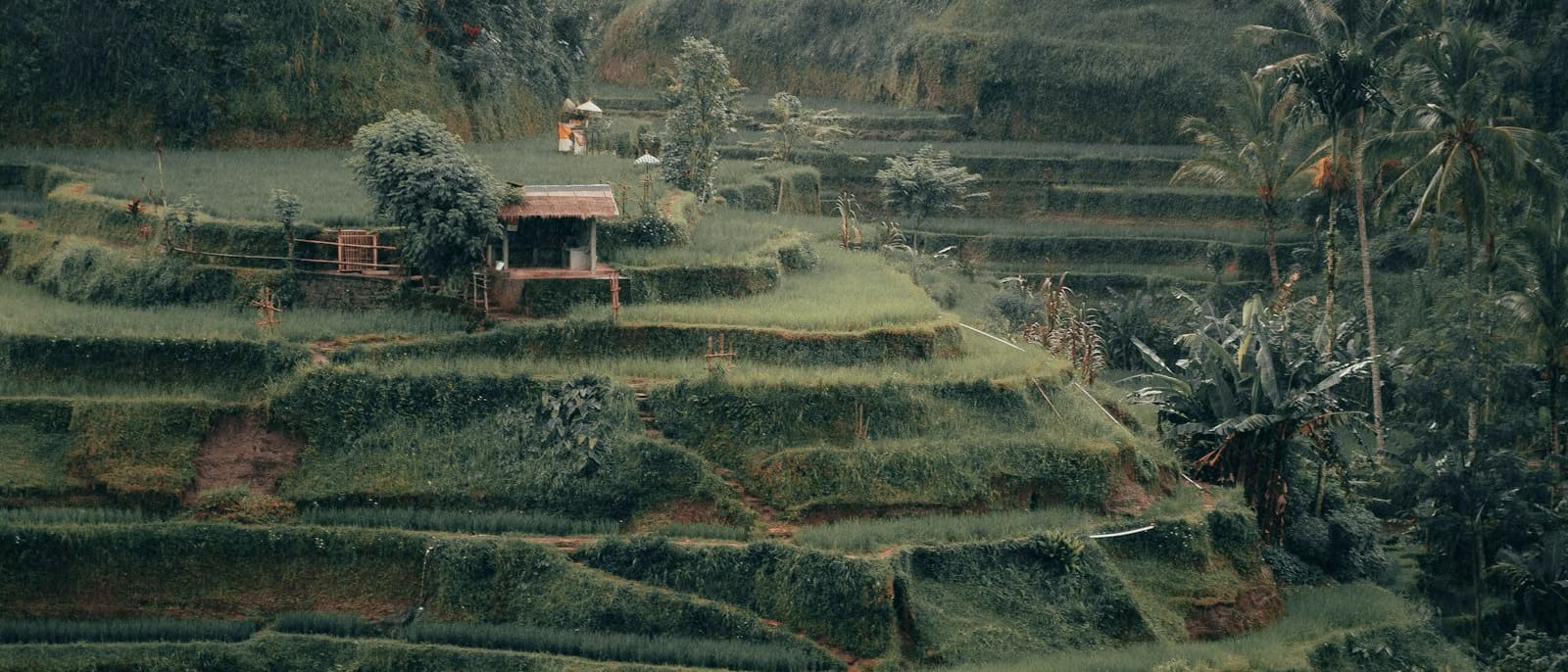 Open-air yoga deck overlooking the rice terrace near Maha Hills